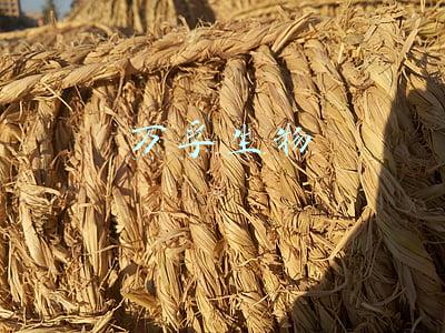 万孚生物董事长(致敬！万孚生物（300482）董事长王继华寄语建党百年)