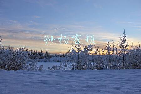 孙杨霍顿