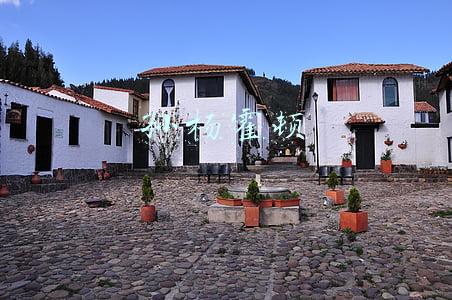 孙杨霍顿