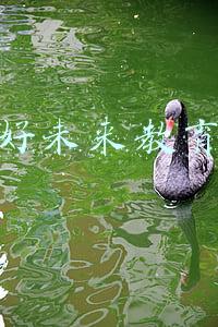 好未来教育