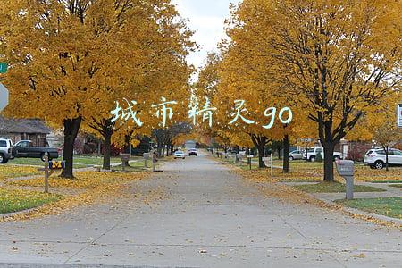 城市精灵go