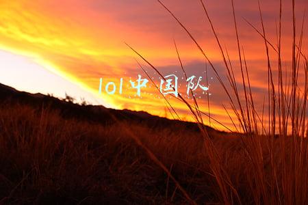 lol中国队