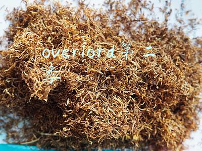 overlord第二季