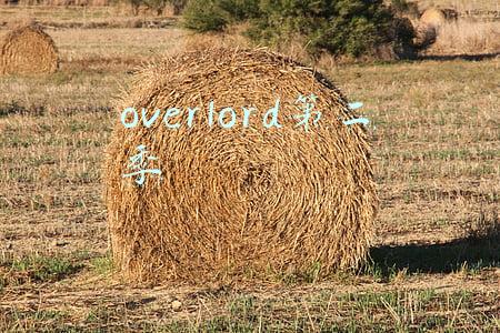 overlord第二季