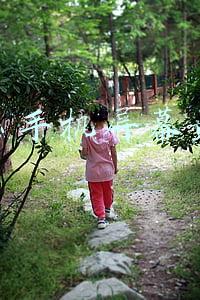什么手机屏幕最大