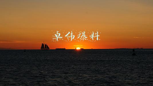 卓伟爆料