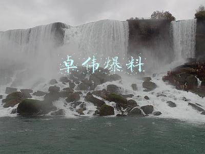 卓伟爆料