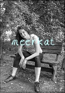 meerkat