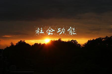 社会功能
