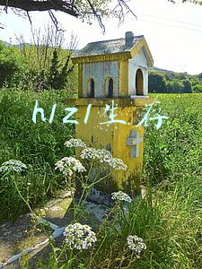 h1z1生存