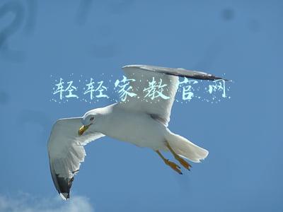 轻轻家教官网