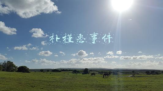 朴槿惠事件