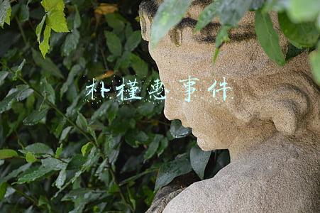 朴槿惠事件
