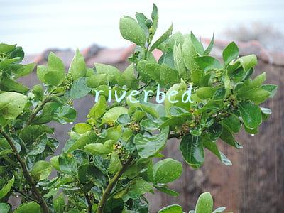 riverbed公司(Riverbed：“2018零售业数字化转型调查”指出 未来依赖云技术)