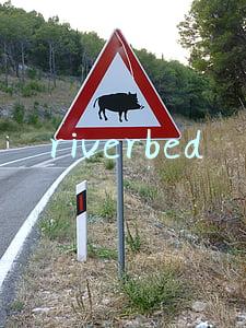 riverbed 视频会议加速(华为与Riverbed签署合作协议 共建企业互联极致体验)