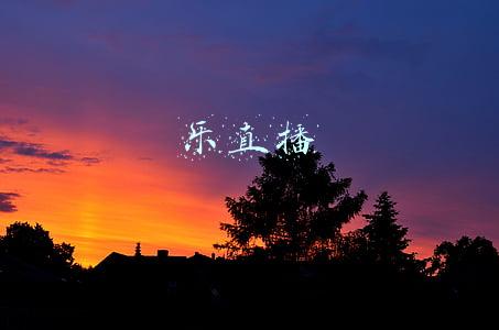 乐直播