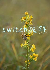 switch破解教程(还敢破解Switch？任天堂出击：2880万赔偿+10年监禁)