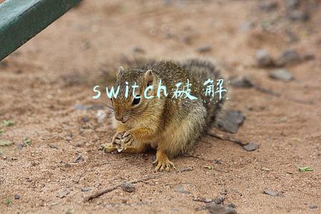 switch破解