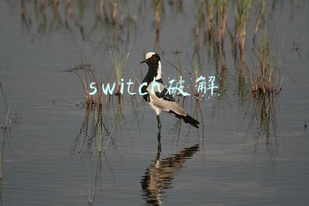 switch破解