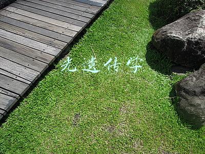 光遗传学
