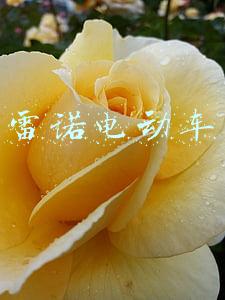 雷诺电动车