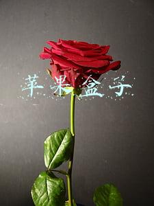 苹果盒子