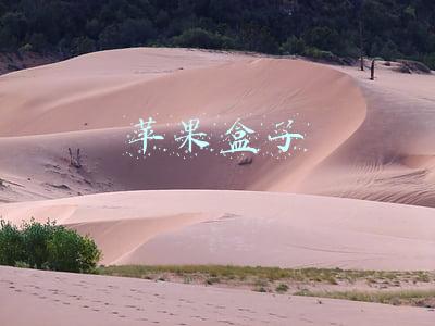 苹果盒子