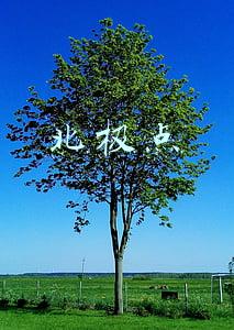北极点