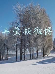 冉莹颖微博