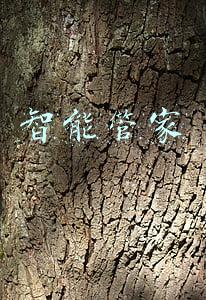 智能管家