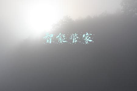 智能管家
