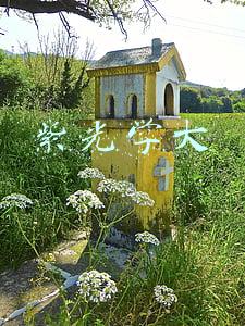 紫光学大
