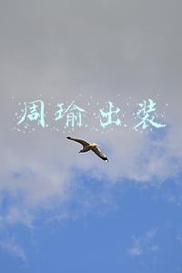 周瑜出装