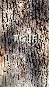 TGIF