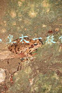 东皇太一技能