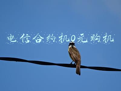 电信合约机0元购机