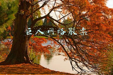 巨人网络股票