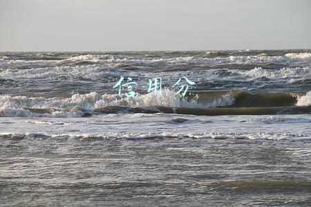 信用分