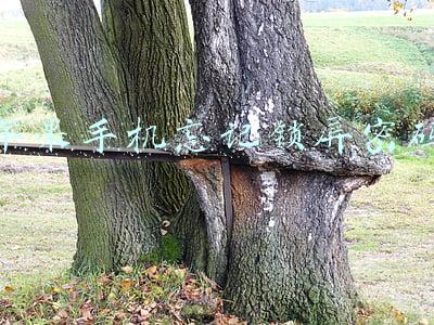 苹果手机忘记锁屏密码