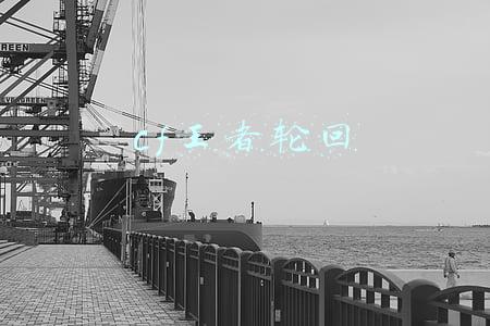cf王者轮回