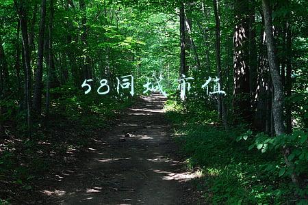 58同城市值