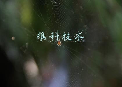 维科技术