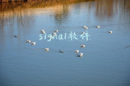 signal软件