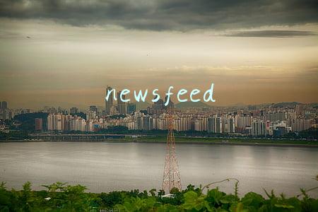 newsfeed