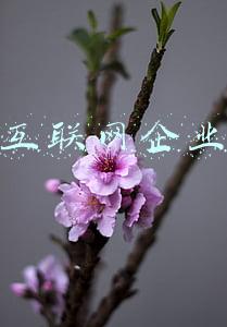 中国互联网企业排名