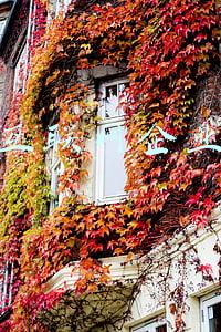 中国互联网企业排名