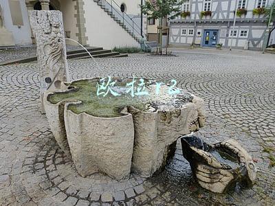欧拉r2 欧拉r2