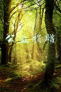 公益捐赠