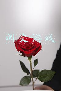 阅文游戏