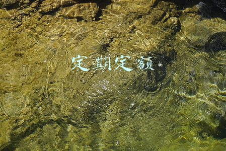 定期定额